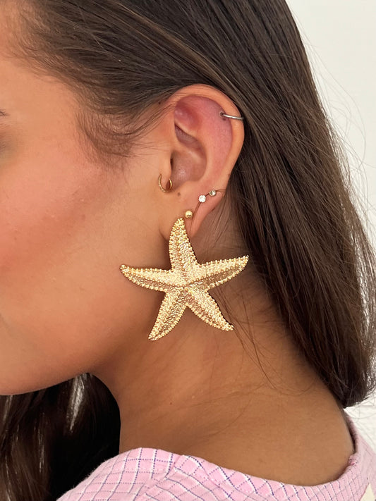 Starfish Earrings